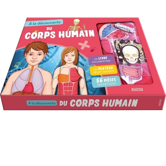 Red and Blue Human Anatomy Learning Toy Set - Picture 1 of 3